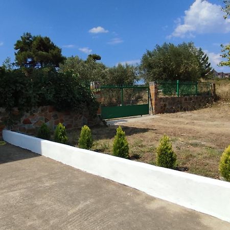 Little Hause Psakoudia Exterior foto